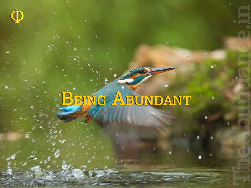 Being Abundant | Excellence Tips for Unleashing Your Potential Possibilities in Life and at Work for 100xSuccess. Join TAL - The Abundance Lab at https;//Lab.TheAbundance.in today